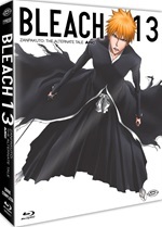 Bleach (First Press)